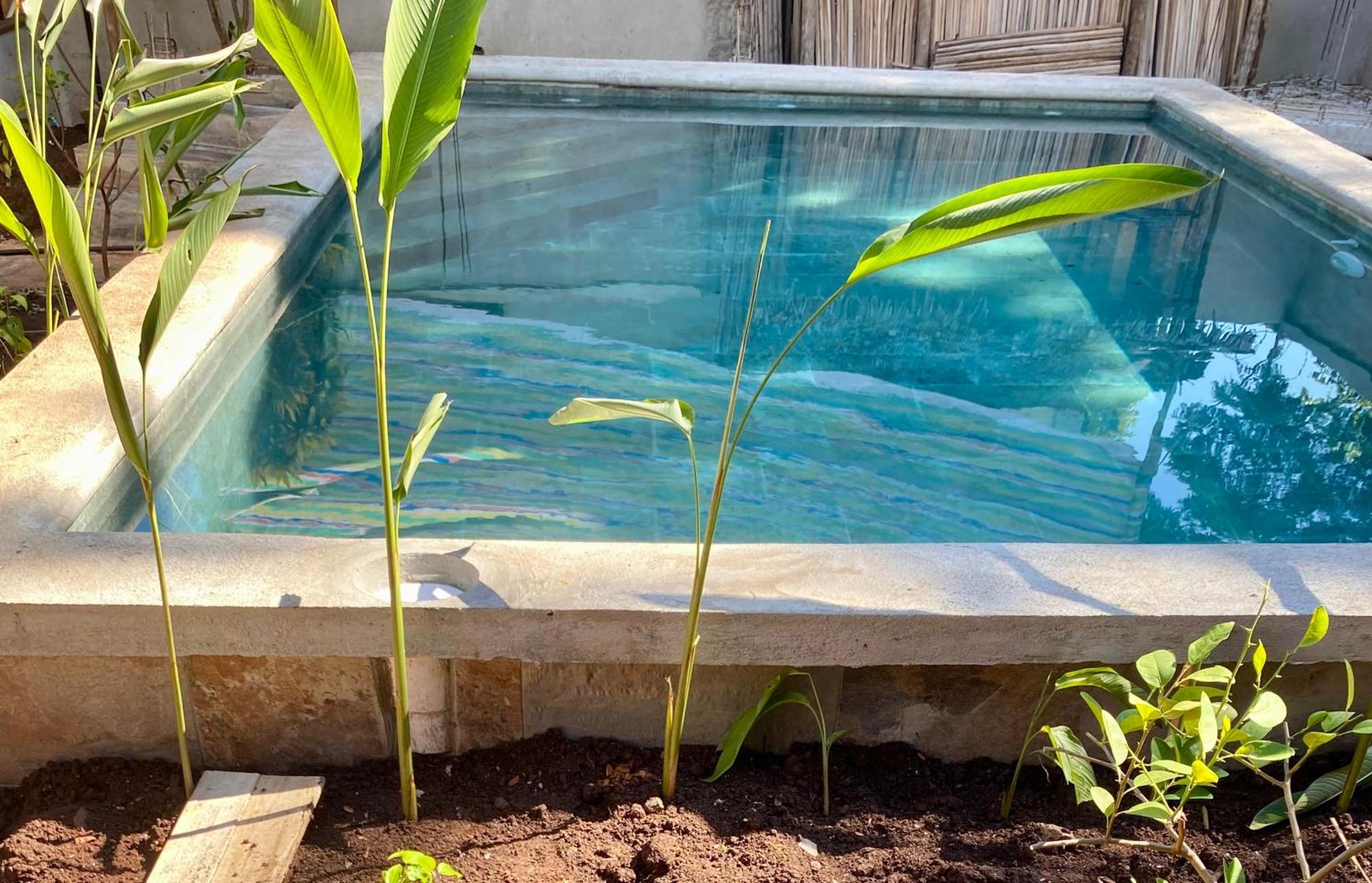 فندق La Perle Rare De Nosy Be أمباتولواكا المظهر الخارجي الصورة